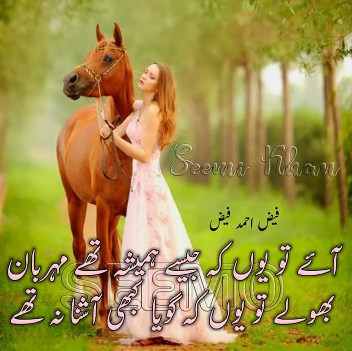 Sad Poetry in Urdu