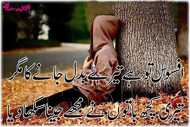 Sad Poetry in Urdu