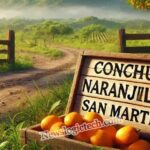 Conchun Naranjillo San Martin